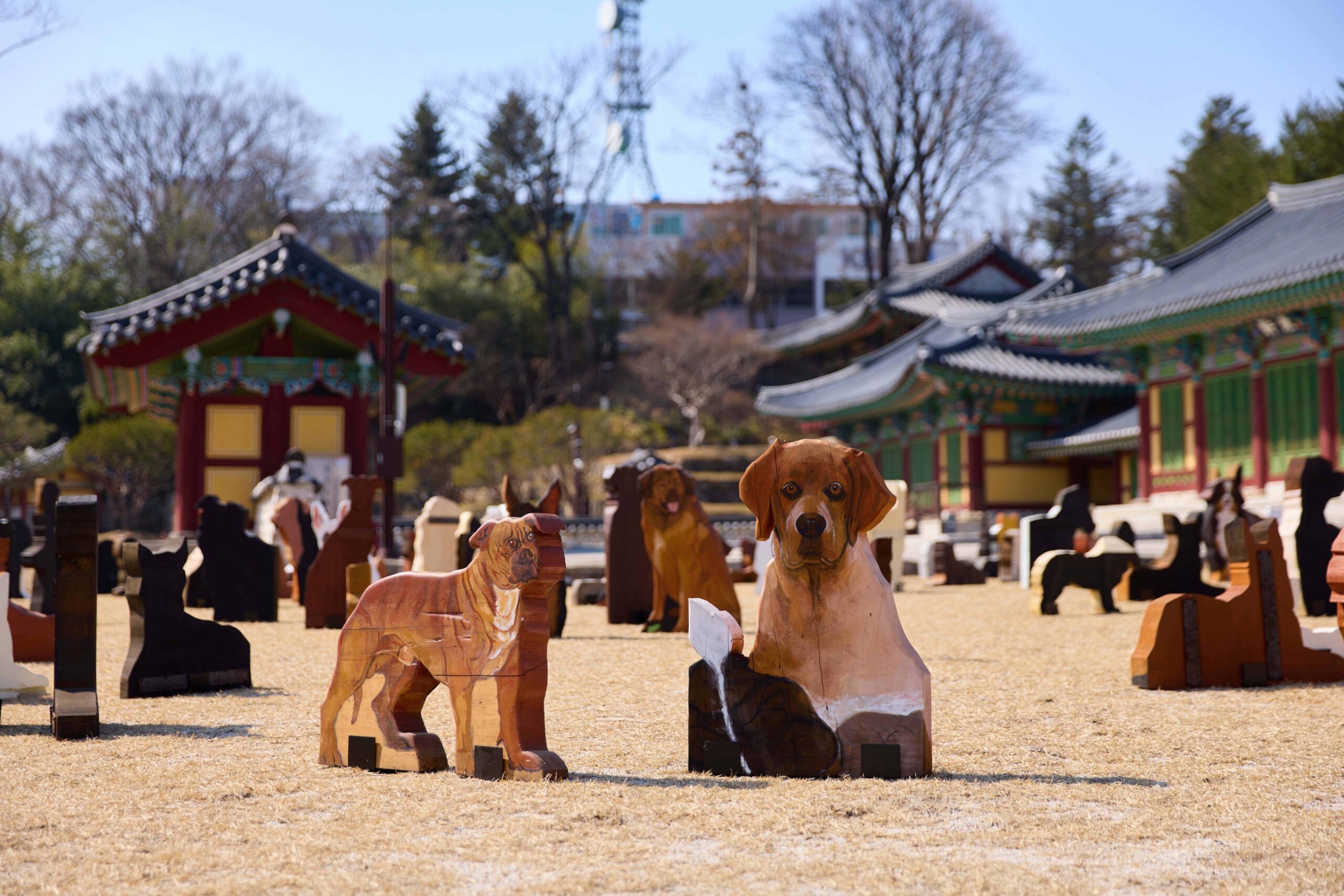 윤석남 〈1,025: 사람과 사람 없이〉